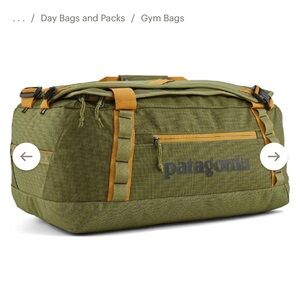 Patagonia Black Hole Duffel Bag 40L in Buckhorn Green
